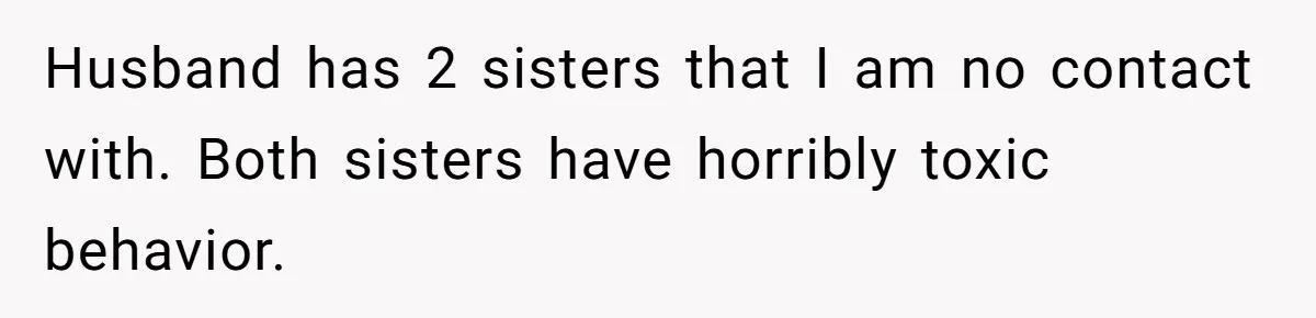 She Refuses to Attend Family Gatherings With Her Husband’s Toxic Sisters and Says She Doesn’t Care About Their Kids Husband has 2 sisters that I am no contact with. Both sisters have horribly toxic behavior.
