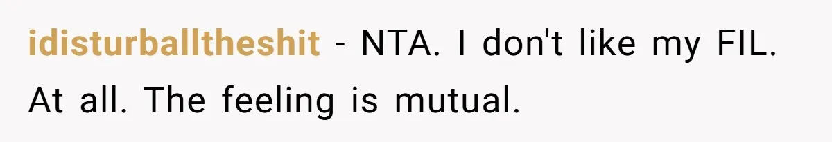 She Refuses to Attend Family Gatherings With Her Husband’s Toxic Sisters and Says She Doesn’t Care About Their Kids idisturballtheshit − NTA. I don't like my FIL. At all. The feeling is mutual.