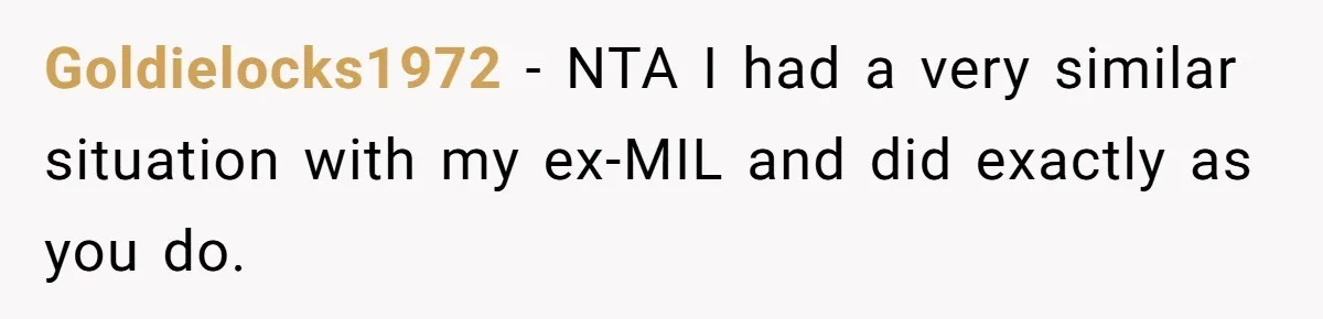 She Refuses to Attend Family Gatherings With Her Husband’s Toxic Sisters and Says She Doesn’t Care About Their Kids Goldielocks1972 − NTA I had a very similar situation with my ex-MIL and did exactly as you do.
