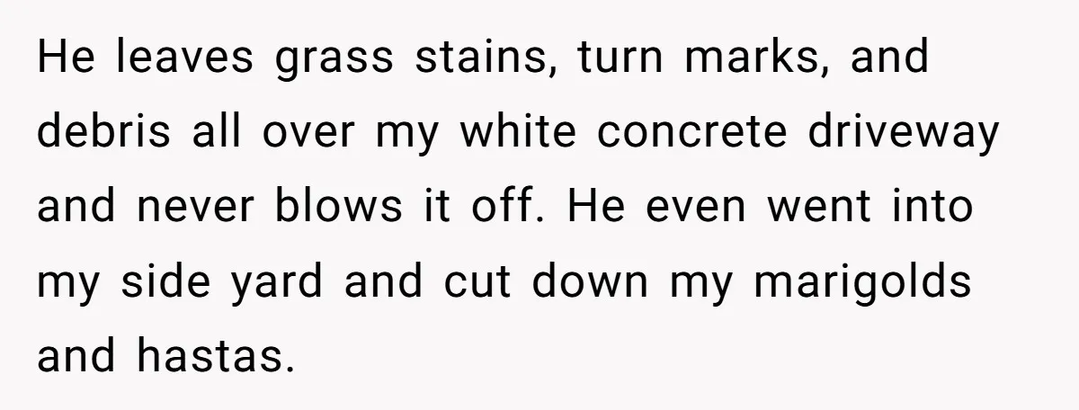She Refused to Pay for Her Neighbor’s Fence, Then Faced Weekly Property Damage in Return He leaves grass stains, turn marks, and debris all over my white concrete driveway and never blows it off. He even went into my side yard and cut down my...