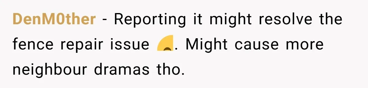 She Refused to Pay for Her Neighbor’s Fence, Then Faced Weekly Property Damage in Return DenM0ther − Reporting it might resolve the fence repair issue 😅. Might cause more neighbour dramas tho.