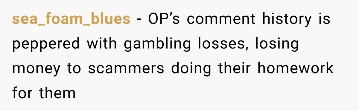 A Mom of Three Told Her Husband She Won’t Keep Their Fourth Baby Unless He Earns More Money, and Reddit Had Strong Opinions sea_foam_blues − OP’s comment history is peppered with gambling losses, losing money to scammers doing their homework for them