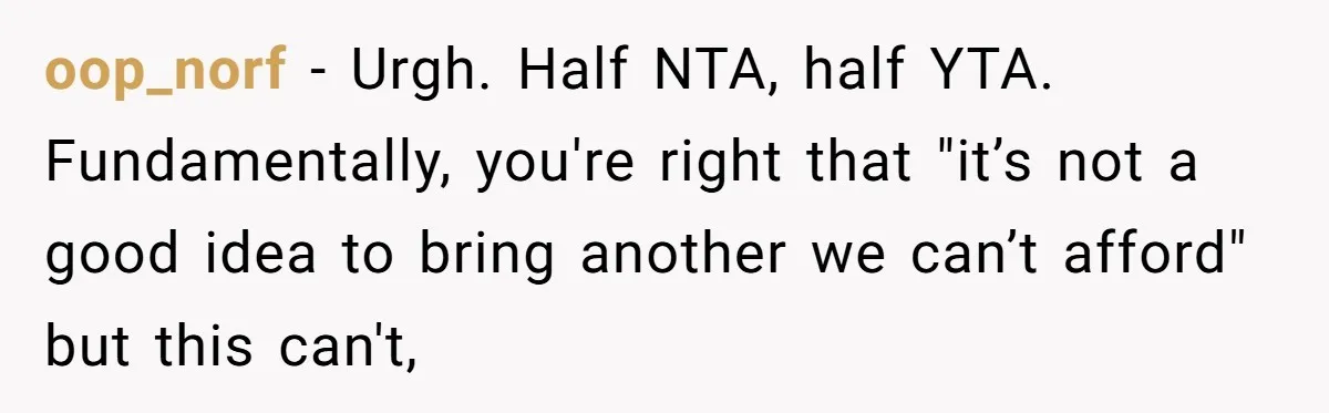 A Mom of Three Told Her Husband She Won’t Keep Their Fourth Baby Unless He Earns More Money, and Reddit Had Strong Opinions oop_norf − Urgh. Half NTA, half YTA. Fundamentally, you're right that "it’s not a good idea to bring another we can’t afford" but this can't,