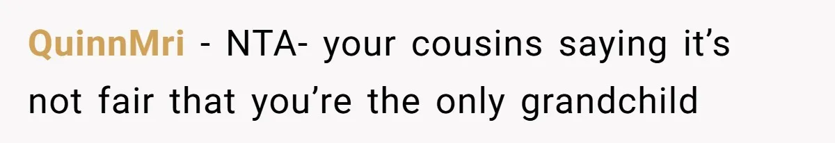 Only Child Refuses To Share Inheritance, Believing They Are Legally Right QuinnMri − NTA- your cousins saying it’s not fair that you’re the only grandchild