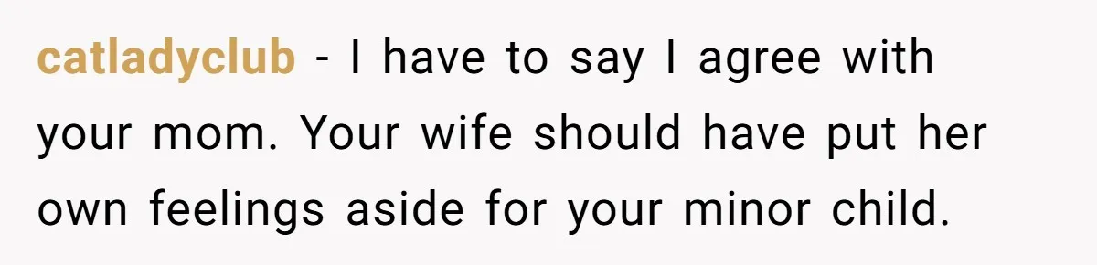 Man Says His Wife Should Have Taken Their Daughter To The Funeral, Now His Mom Is Getting Involved catladyclub − I have to say I agree with your mom. Your wife should have put her own feelings aside for your minor child.