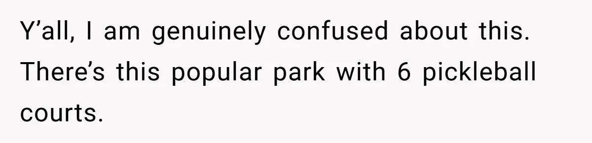 Woman Wants To Pay For A Pickleball Court Reservation, But The Locals Think It’s An Unacceptable Move Y’all, I am genuinely confused about this. There’s this popular park with 6 pickleball courts.