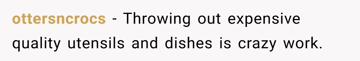 ottersncrocs − Throwing out expensive quality utensils and dishes is crazy work.