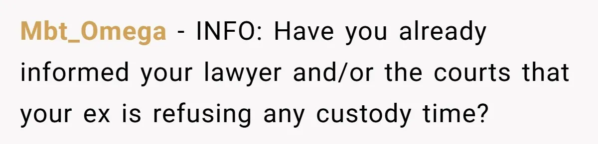 Ex Demands Dad Ban Common Foods At His Home, He Refuses And She Stops Visitation Mbt_Omega − INFO: Have you already informed your lawyer and/or the courts that your ex is refusing any custody time?