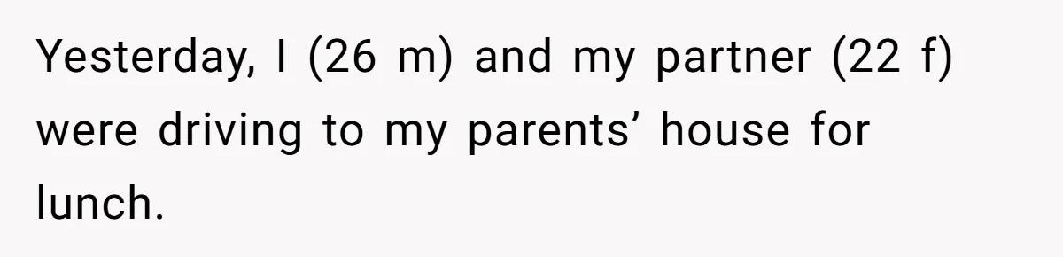 Partner Defends A Stressed Mother Against Her Boyfriends Harsh Reaction To A Dangerous Situation Yesterday, I (26 m) and my partner (22 f) were driving to my parents’ house for lunch.