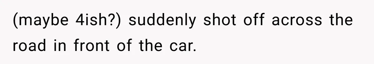 Partner Defends A Stressed Mother Against Her Boyfriends Harsh Reaction To A Dangerous Situation (maybe 4ish?) suddenly shot off across the road in front of the car.