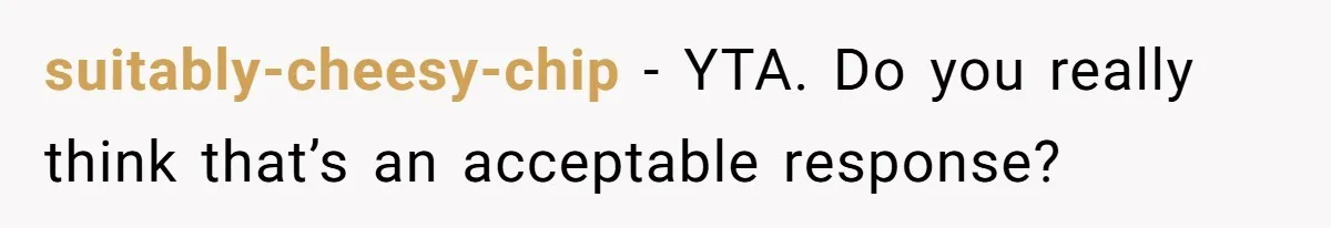 Partner Defends A Stressed Mother Against Her Boyfriends Harsh Reaction To A Dangerous Situation suitably-cheesy-chip − YTA. Do you really think that’s an acceptable response?