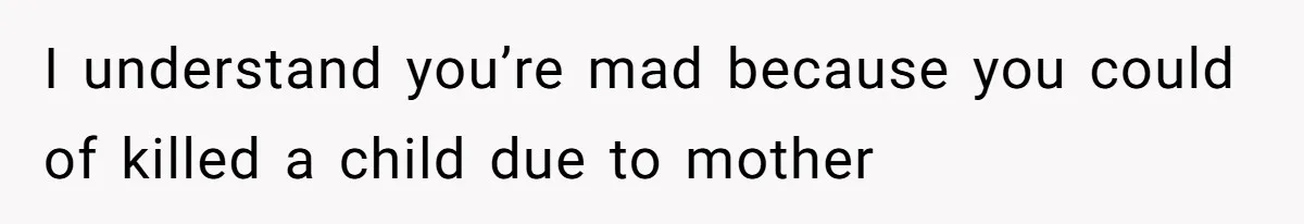 Partner Defends A Stressed Mother Against Her Boyfriends Harsh Reaction To A Dangerous Situation I understand you’re mad because you could of killed a child due to mother
