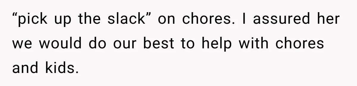 He Flew Across the Country to Help His Sister After Childbirth, Then Realized He’d Been Treated Like Unpaid Staff “pick up the slack” on chores. I assured her we would do our best to help with chores and kids.
