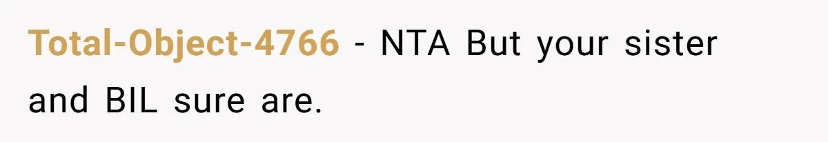 He Flew Across the Country to Help His Sister After Childbirth, Then Realized He’d Been Treated Like Unpaid Staff Total-Object-4766 − NTA But your sister and BIL sure are.
