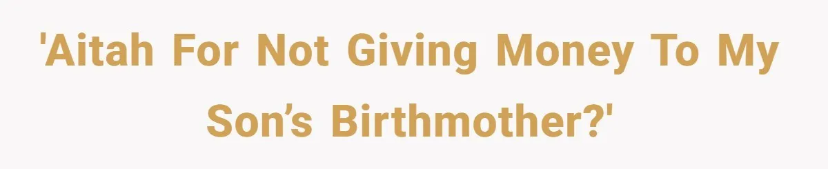 'AITAH for not giving money to my son’s birthmother?'