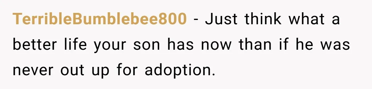 TerribleBumblebee800 − Just think what a better life your son has now than if he was never out up for adoption.