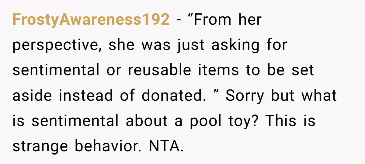 She Told Her Sister to Stop Buying Her Daughter Gifts With Strings Attached, and It Turned Into a Bigger Family Argument Than Expected FrostyAwareness192 − “From her perspective, she was just asking for sentimental or reusable items to be set aside instead of donated. ” Sorry but what is sentimental about a pool...