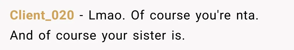 She Planned a Sweet Mother’s Day for Her Sister, Then Got Handed a Full Weekend Itinerary Instead Client_020 − Lmao. Of course you're nta. And of course your sister is.