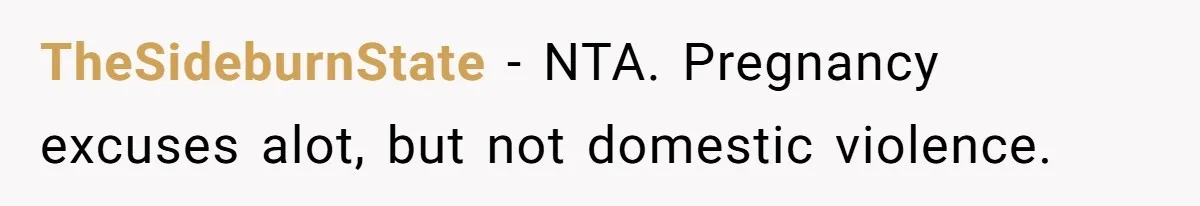 Pregnant Woman Strikes Her Provider In The Kitchen Over A Simple Dropped Sandwich TheSideburnState − NTA. Pregnancy excuses alot, but not domestic violence.