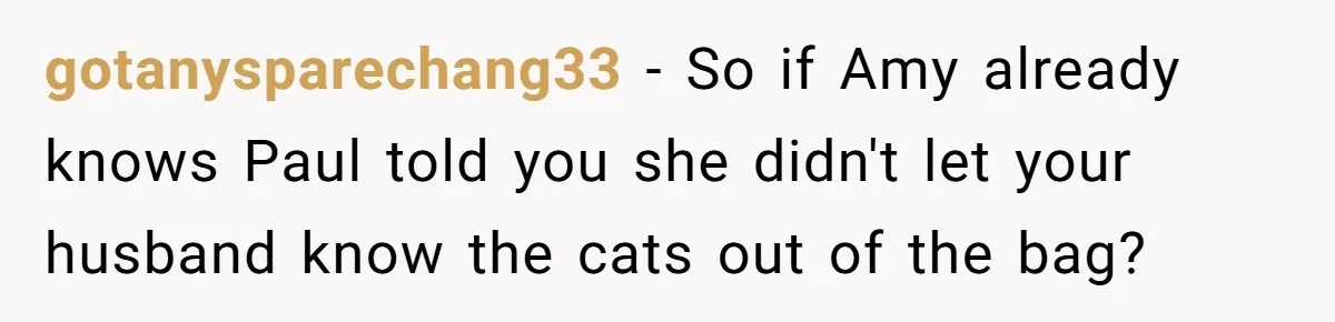Woman Finds Out Her Husband May Have Fathered Her Best Friend’s Child While She’s Pregnant gotanysparechang33 − So if Amy already knows Paul told you she didn't let your husband know the cats out of the bag?