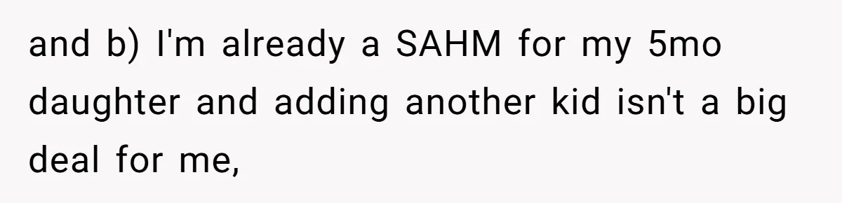 Woman Babysits Her Nephew For Free, Then Finds A Hidden Camera Watching Her Playroom and b) I'm already a SAHM for my 5mo daughter and adding another kid isn't a big deal for me,