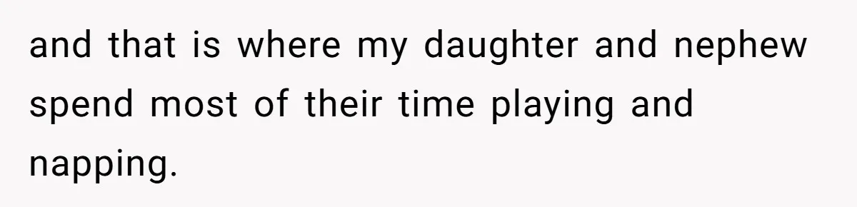 Woman Babysits Her Nephew For Free, Then Finds A Hidden Camera Watching Her Playroom and that is where my daughter and nephew spend most of their time playing and napping.