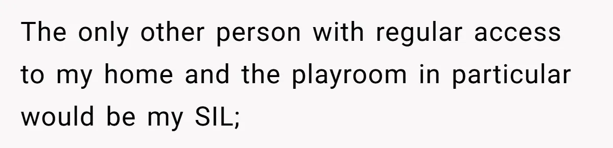 Woman Babysits Her Nephew For Free, Then Finds A Hidden Camera Watching Her Playroom The only other person with regular access to my home and the playroom in particular would be my SIL;
