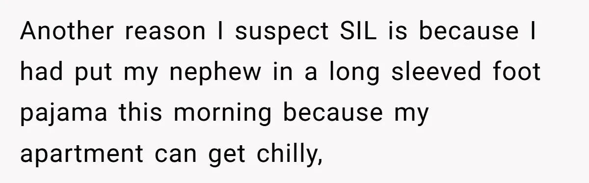 Woman Babysits Her Nephew For Free, Then Finds A Hidden Camera Watching Her Playroom Another reason I suspect SIL is because I had put my nephew in a long sleeved foot pajama this morning because my apartment can get chilly,