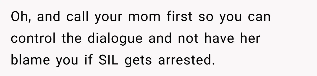 Woman Babysits Her Nephew For Free, Then Finds A Hidden Camera Watching Her Playroom Oh, and call your mom first so you can control the dialogue and not have her blame you if SIL gets arrested.