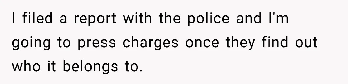 Woman Babysits Her Nephew For Free, Then Finds A Hidden Camera Watching Her Playroom I filed a report with the police and I'm going to press charges once they find out who it belongs to.