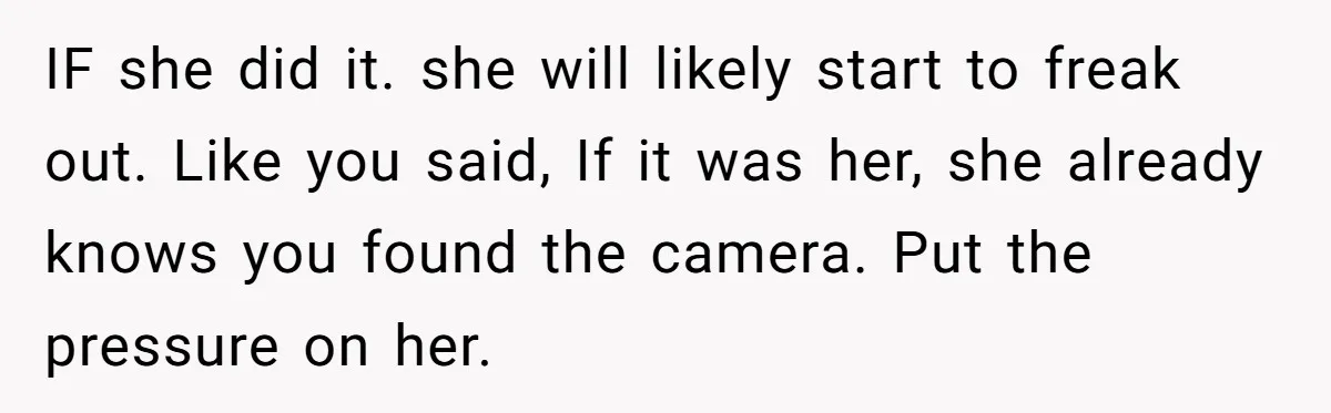 Woman Babysits Her Nephew For Free, Then Finds A Hidden Camera Watching Her Playroom IF she did it. she will likely start to freak out. Like you said, If it was her, she already knows you found the camera. Put the pressure on her.