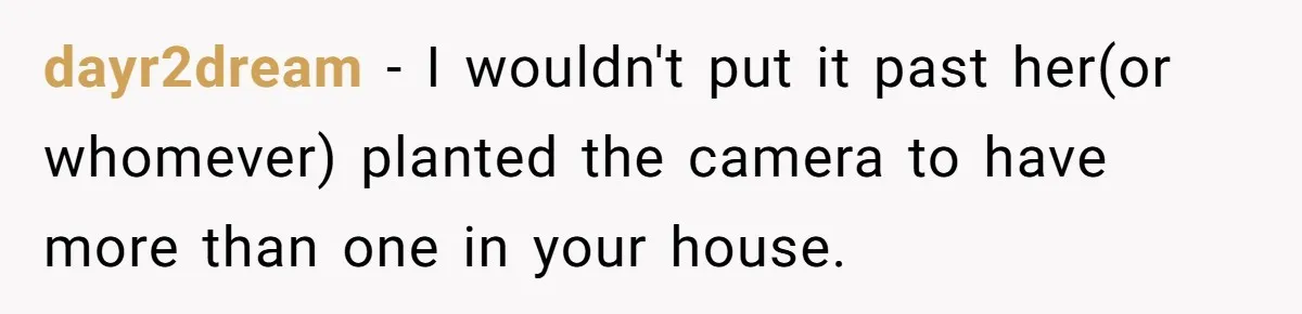 Woman Babysits Her Nephew For Free, Then Finds A Hidden Camera Watching Her Playroom dayr2dream − I wouldn't put it past her(or whomever) planted the camera to have more than one in your house.