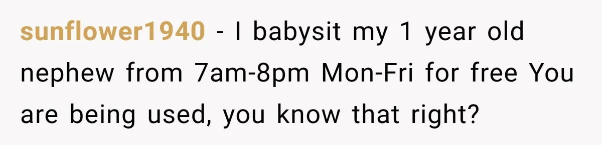 Woman Babysits Her Nephew For Free, Then Finds A Hidden Camera Watching Her Playroom sunflower1940 − I babysit my 1 year old nephew from 7am-8pm Mon-Fri for free You are being used, you know that right?