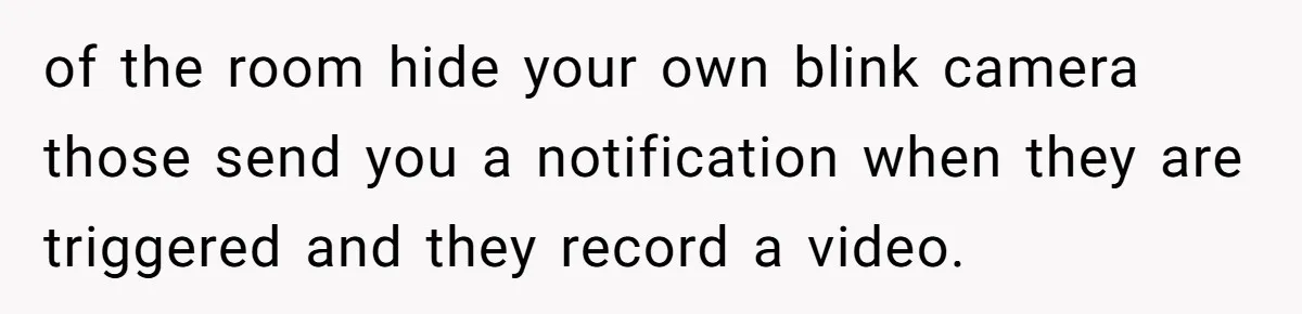 Woman Babysits Her Nephew For Free, Then Finds A Hidden Camera Watching Her Playroom of the room hide your own blink camera those send you a notification when they are triggered and they record a video.