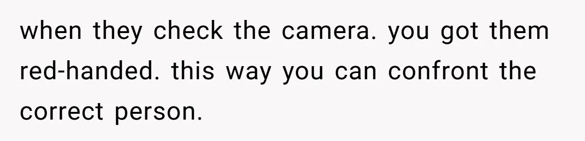 Woman Babysits Her Nephew For Free, Then Finds A Hidden Camera Watching Her Playroom when they check the camera. you got them red-handed. this way you can confront the correct person.