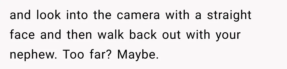 Woman Babysits Her Nephew For Free, Then Finds A Hidden Camera Watching Her Playroom and look into the camera with a straight face and then walk back out with your nephew. Too far? Maybe.