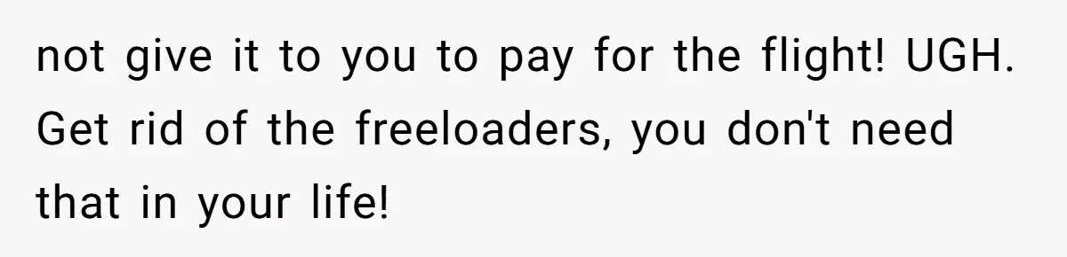The High-Altitude Heist: When "Family Discounts" Turn Into a $7,000 Family Feud not give it to you to pay for the flight! UGH. Get rid of the freeloaders, you don't need that in your life!