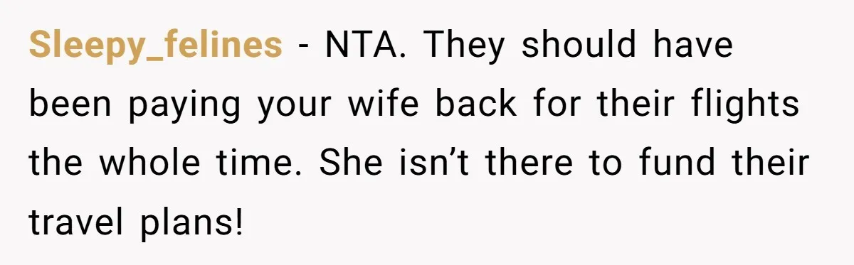 The High-Altitude Heist: When "Family Discounts" Turn Into a $7,000 Family Feud Sleepy_felines − NTA. They should have been paying your wife back for their flights the whole time. She isn’t there to fund their travel plans!