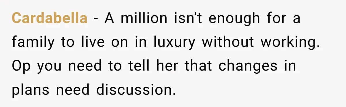 Successful Entrepreneur Reaches Massive Wealth, Only To Watch His Partner Abandon Her Career Cardabella − A million isn't enough for a family to live on in luxury without working. Op you need to tell her that changes in plans need discussion.