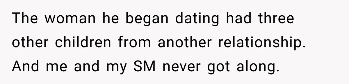 The woman he began dating had three other children from another relationship. And me and my SM never got along.