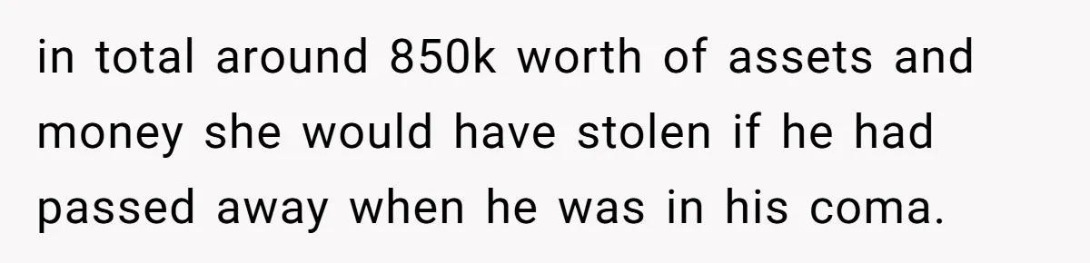 in total around 850k worth of assets and money she would have stolen if he had passed away when he was in his coma.
