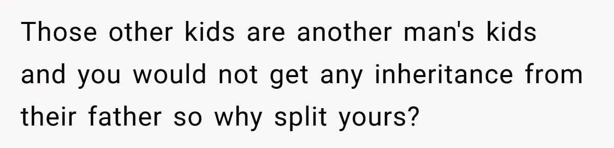 Those other kids are another man's kids and you would not get any inheritance from their father so why split yours?