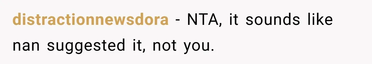 Young Mother Refuses Christmas Visit Until Certain Relatives Face Exclusion From Gathering distractionnewsdora − NTA, it sounds like nan suggested it, not you.