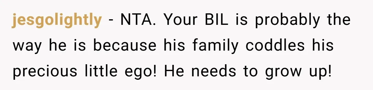 Sister-In-Law Lets Her Friend Publicly Humiliate BIL Over Stock Advice, Husband Thinks She’s To Blame jesgolightly − NTA. Your BIL is probably the way he is because his family coddles his precious little ego! He needs to grow up!