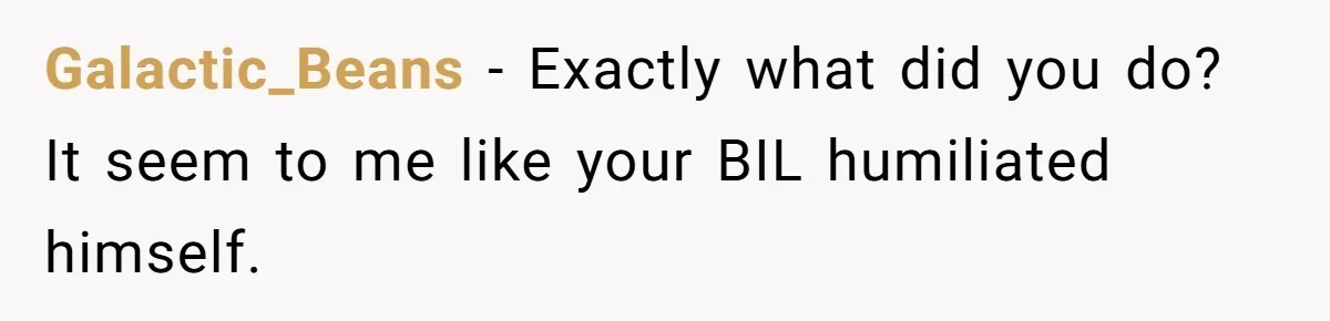Sister-In-Law Lets Her Friend Publicly Humiliate BIL Over Stock Advice, Husband Thinks She’s To Blame Galactic_Beans − Exactly what did you do? It seem to me like your BIL humiliated himself.