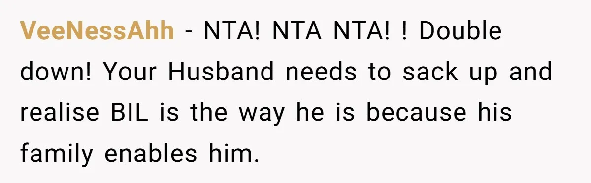 Sister-In-Law Lets Her Friend Publicly Humiliate BIL Over Stock Advice, Husband Thinks She’s To Blame VeeNessAhh − NTA! NTA NTA! ! Double down! Your Husband needs to sack up and realise BIL is the way he is because his family enables him.