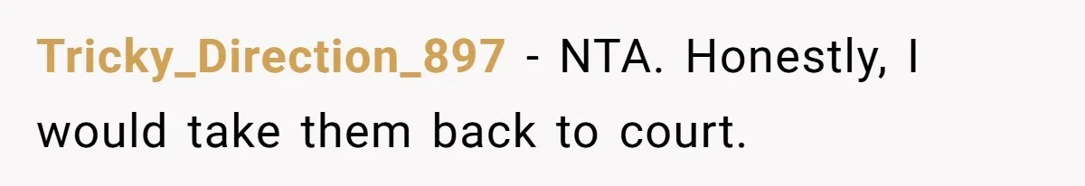 Tricky_Direction_897 − NTA. Honestly, I would take them back to court.