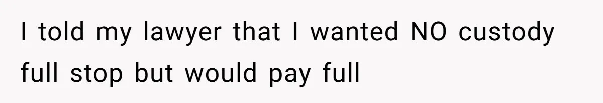 Father Chooses "Child-Free" Life After Raising Daughter for Five Years, Now Refuses All Contact I told my lawyer that I wanted NO custody full stop but would pay full