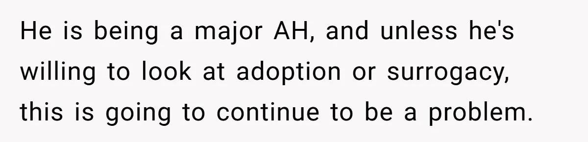 Girlfriend Told Her Partner She Was Infertile, But Didn’t Mention The Hysterectomy—Now He’s Furious He is being a major AH, and unless he's willing to look at adoption or surrogacy, this is going to continue to be a problem.