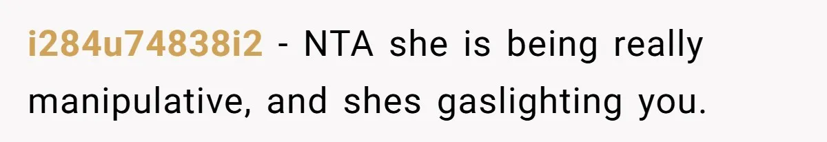 i284u74838i2 − NTA she is being really manipulative, and shes gaslighting you.